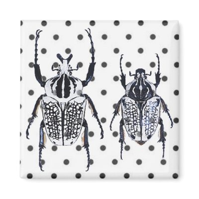 2 Black & White Beetles on Dots Refrigerator Magnets by JuJuGarden