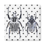 2 Black & White Beetles on Dots Refrigerator Magnets