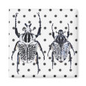 2 Black & White Beetles on Dots magnets