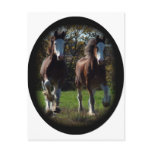 2 clydes running postcards