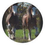 2 clydes running stickers