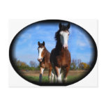 2 clydes standing postcards