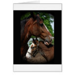 2 clydesdale heads black greeting card