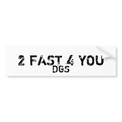2 FAST 4 YOU, DGS BUMPER STICKERS by dgsskateboards