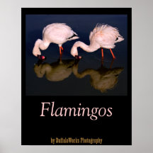 2 Flamingo Waders Posters