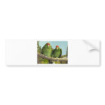 2 green parrots bumper stickers