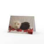 2 Guinea Pig Valentines Greeting Card
