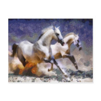 2 horses beach gallop post cards