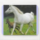 2 horses mouse mat