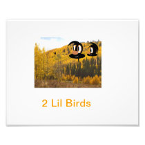 2 Lil Birds Photograph