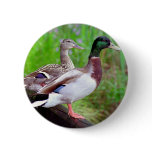 2 Mallards On a Fence Button