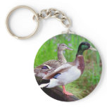 2 Mallards On a Fence Keychain