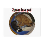 2 Peas in a Pod Postcards