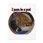 2 Peas in a Pod Postcard