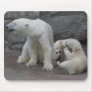 2) Polar bear cubs Mousepad