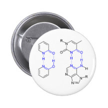 2-Pyridone Chemical Basepair Buttons