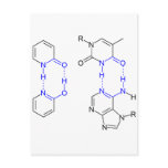 2-Pyridone Chemical Basepair Post Cards