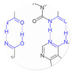 2-Pyridone Chemical Basepair Stickers