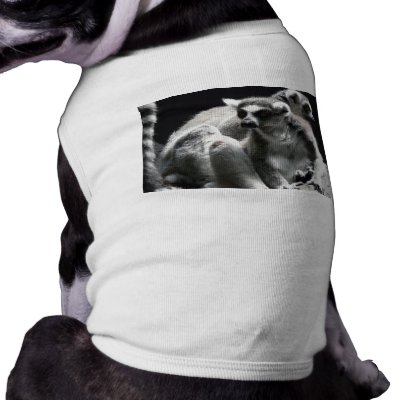 2 ringtail lemur pet tee by pinkypetals