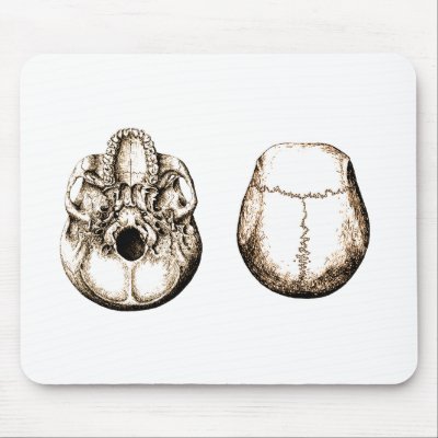 2 Skull Sepia by alazon