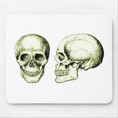 2 Skulls Bronze by alazon