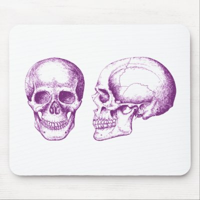 2 Skulls Purple by alazon