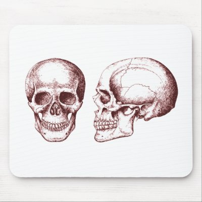 2 Skulls Red by alazon