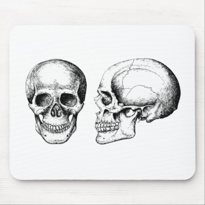 2 Skulls White by alazon