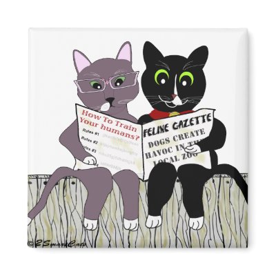 2 Smart Cats Reading Newspaper square magnet by 2smartcats