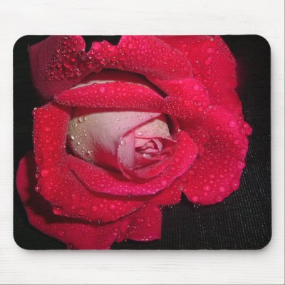2 tone rose 3 mouse mat by dawnmcininch