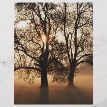 2 TREES SEPIA GOLD ORANGE CUSTOM FLYER