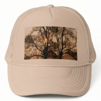 2 TREES SEPIA GOLD ORANGE