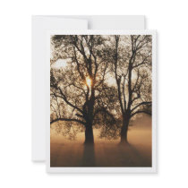 2 TREES SEPIA GOLD ORANGE