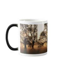 2 TREES SEPIA GOLD ORANGE MUGS