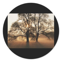 2 TREES SEPIA GOLD ORANGE