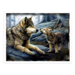 2 Wolves Postcard