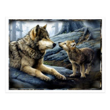 2 Wolves Postcard
