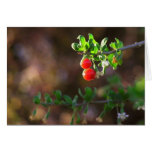 2BERRIES CARD