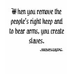 2nd Amendment 2/102 t-shirts