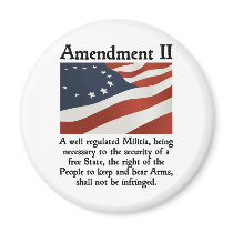 2nd Amendment Fridge Magnets