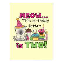 2nd Kitten Birthday Tshirts and Gifts Post Cards