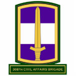 308th Civil Affairs Brigade SSI photo sculptures