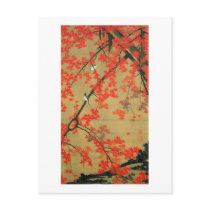 30. 紅葉小禽図, 若冲 Maple & Small Birds, Jakuchū Postcards