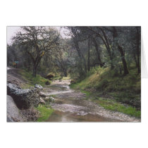 30. California Stream Greeting Card