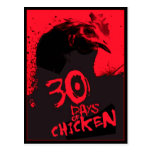 30 DAYS Of CHICKEN Post Cards
