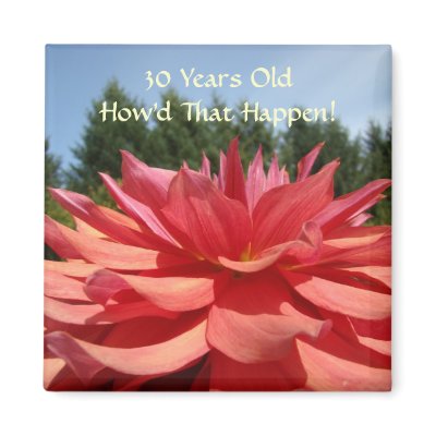 30 Years Old How'd that Happen Magnet Birthday by Basleeartprintgifts