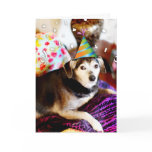 311 Congrats on your retirement! Greeting Cards