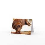 311 Doggon'it I miss you Greeting Card