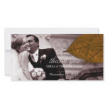 311 Dream Leaf Copper Photo Cards