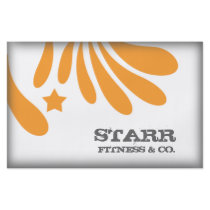 311 Freshtastic Orange Star Custom Flyer